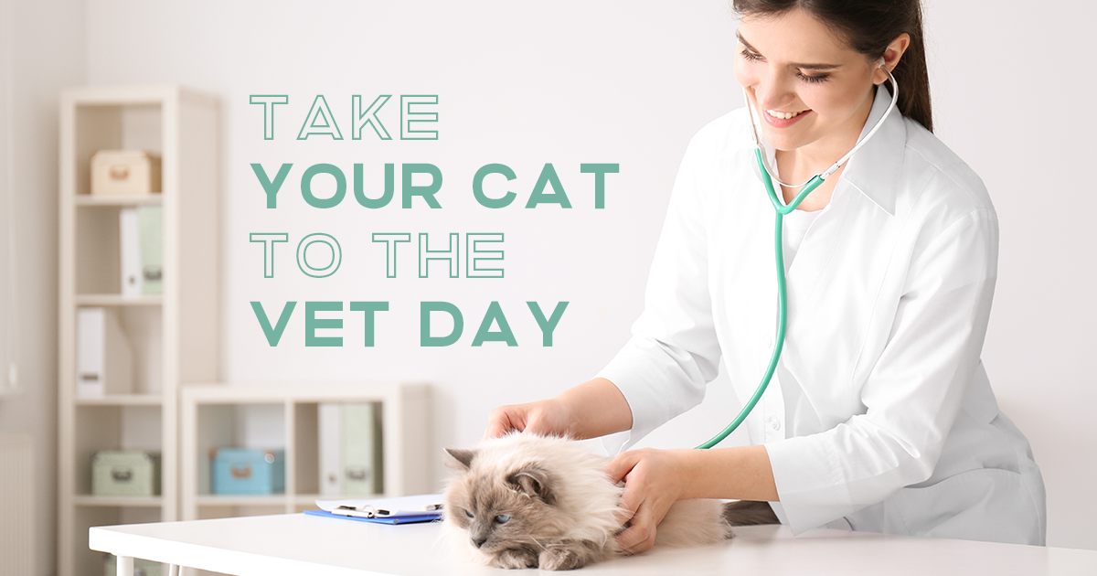 Why Regular Vet Visits Are Essential for Your Cat's Health