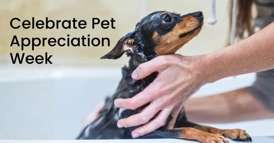 Celebrate Pet Appreciation Week