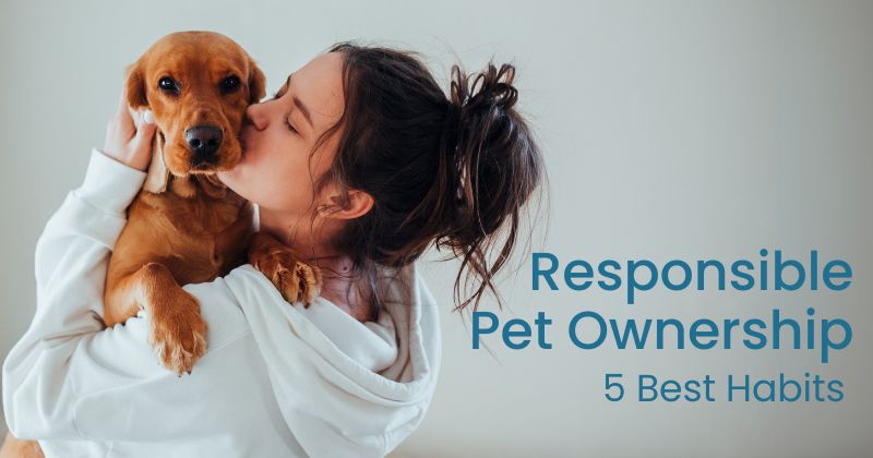 Creating the Habits of Responsible Pet Ownership