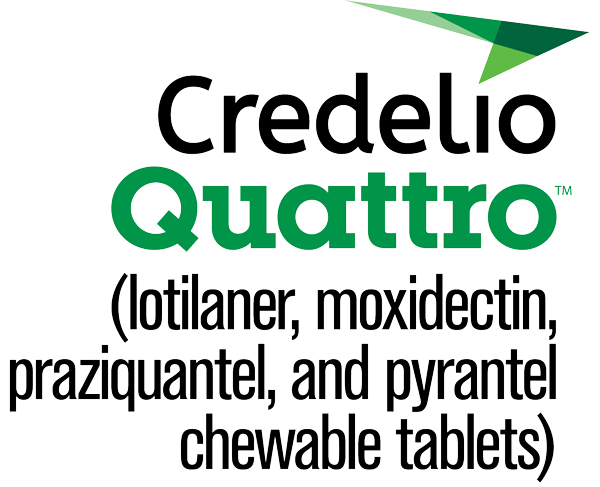 Credelio Quattro