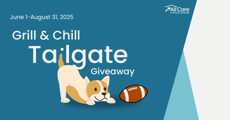 Grill & Chill Giveaway — Protect Your Pet & Win Big!