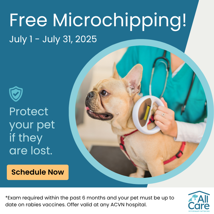 Microchip