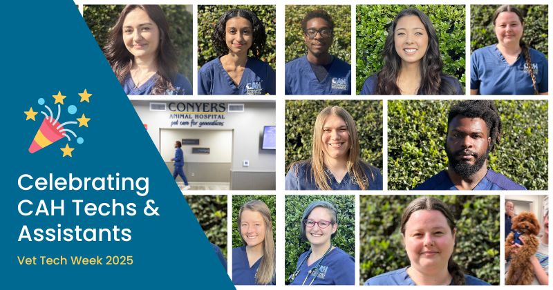 Celebrating Veterinary Technicians