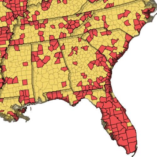 American Dog Tick in GA