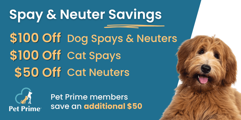 Savings