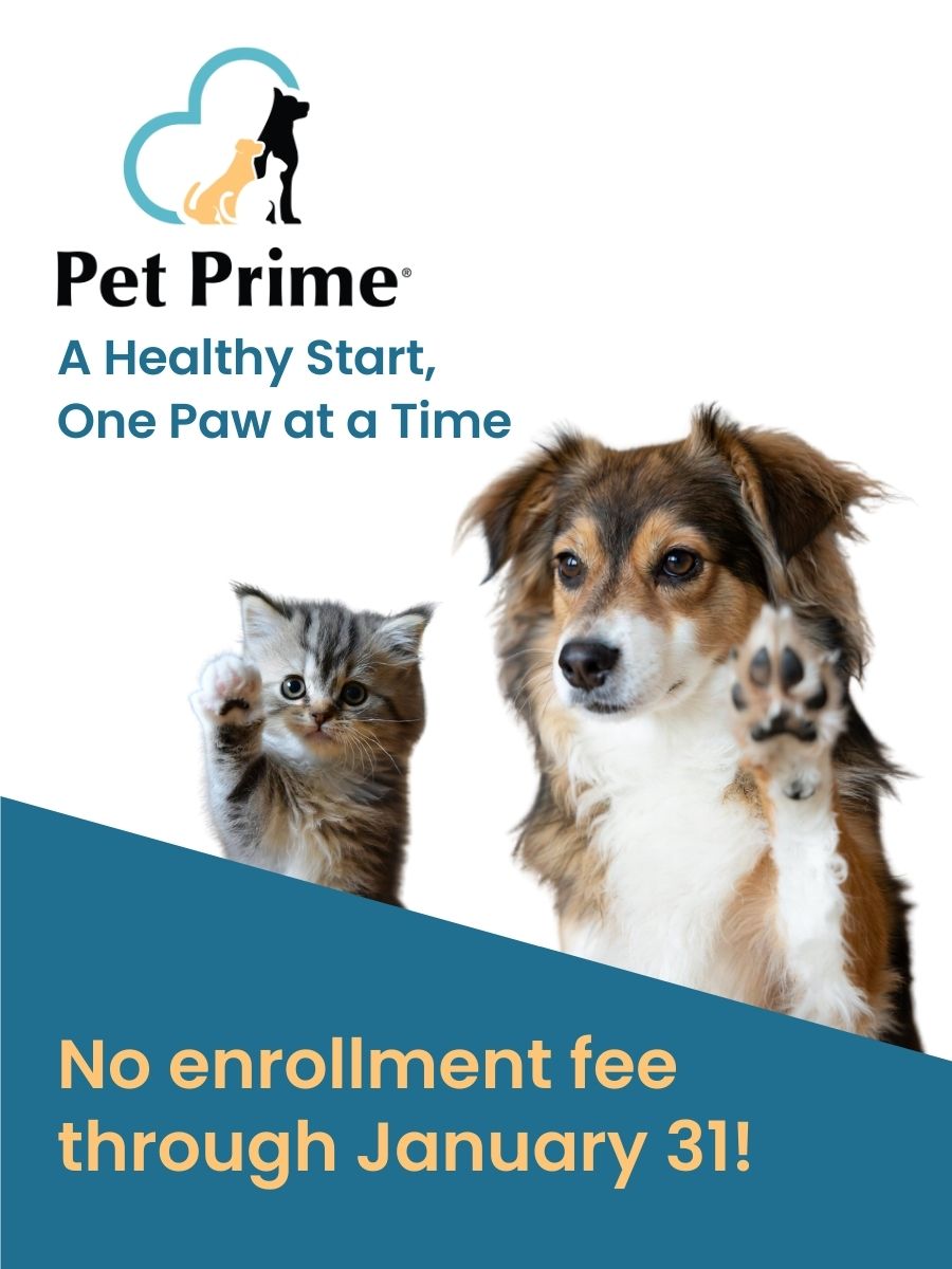 Pet Prime - Pet Wellness Plans