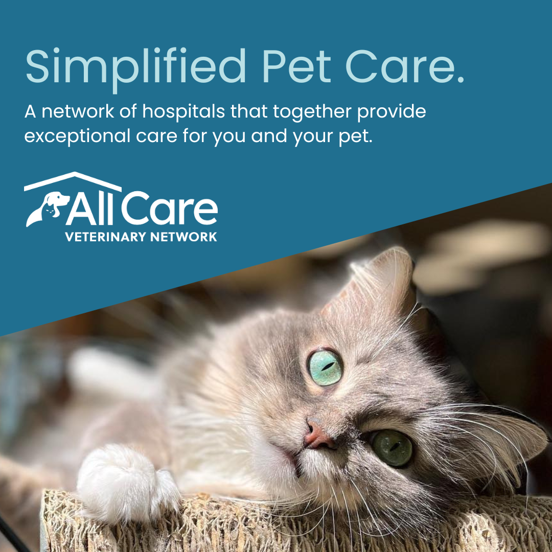 All Care Veterinary Network
